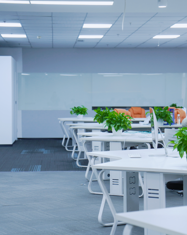 High Energy AI office with shared desks and indoor plants